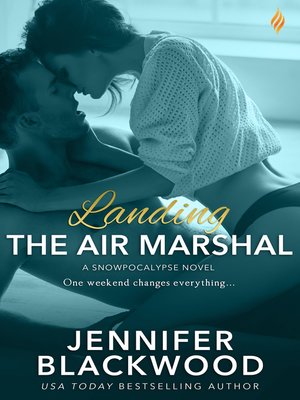 Landing the Air Marshal - ebook